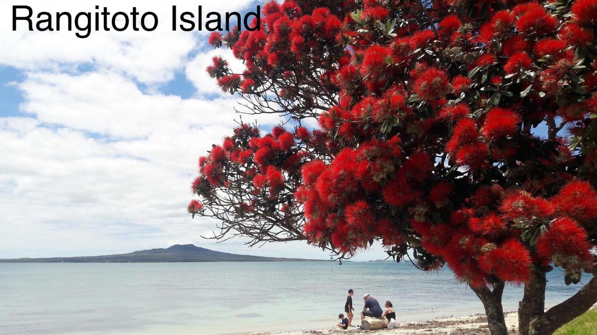 The Partchery Devonport Auckland Buitenkant foto